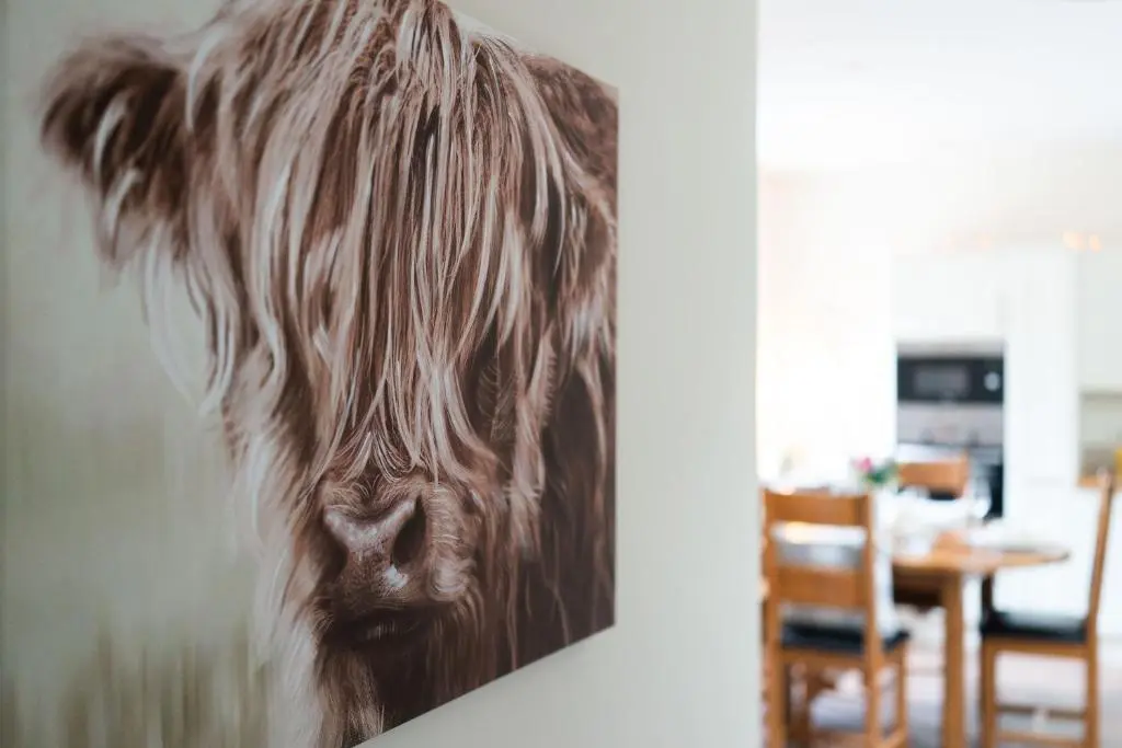 a picture of a cow hanging on a wall at Ranch House Cottage, Pet Friendly Stay, Inverurie in Thainstone