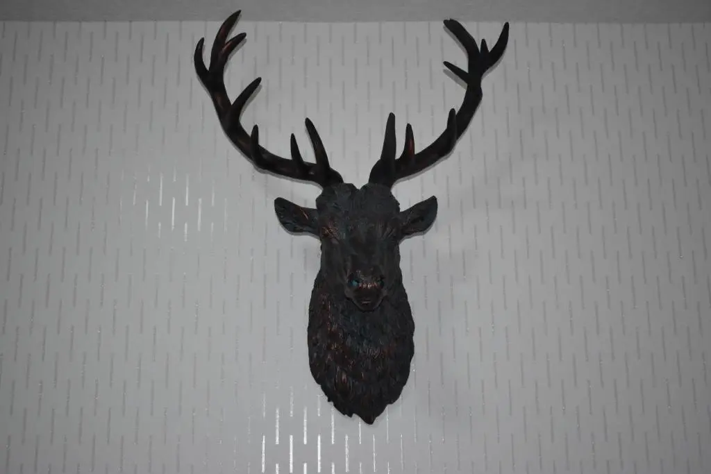 a black deer head hanging on a wall at Glenshee Guest House in Golspie