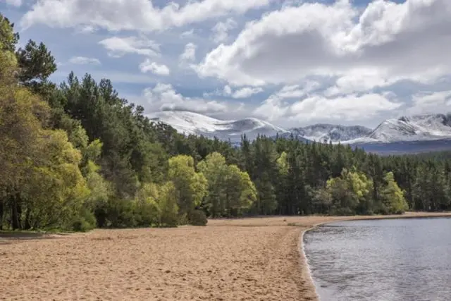 a beach with trees and snow capped mountains in the background at The Roost in Aviemore
